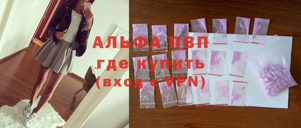 шишки Гусиноозёрск