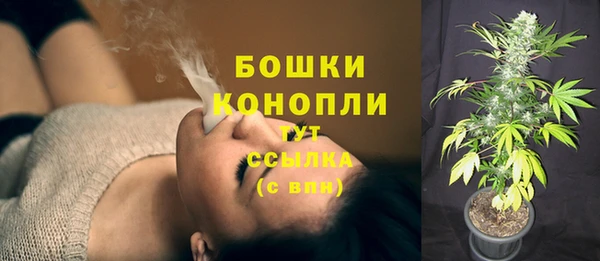 мдпв Дмитриев