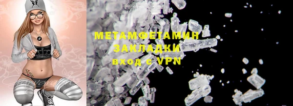 шишки Гусиноозёрск