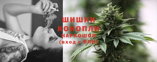 мдпв Дмитриев