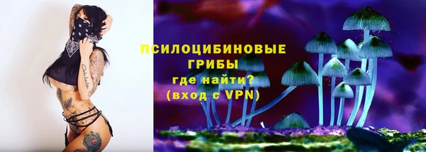 альфа пвп Дмитровск
