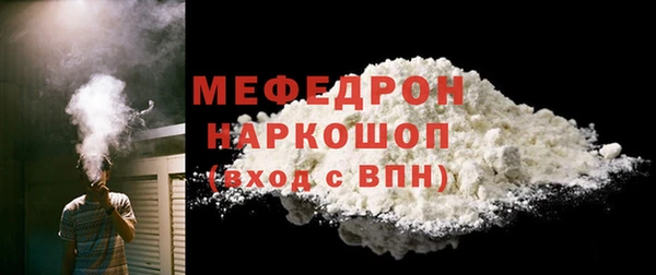 шишки Гусиноозёрск