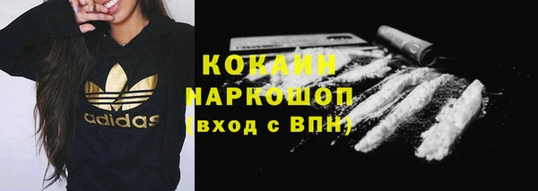 шишки Гусиноозёрск