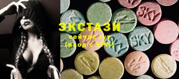 шишки Гусиноозёрск