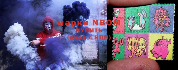 шишки Гусиноозёрск