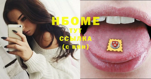 шишки Гусиноозёрск
