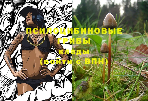 героин Дмитров