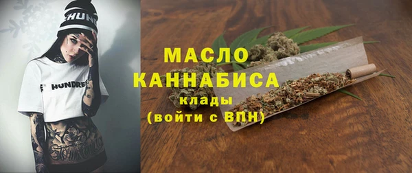 шишки Гусиноозёрск